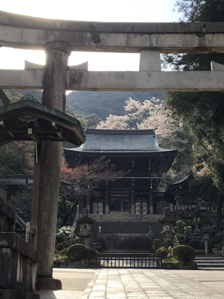 令和になった日、伊奈波神社の１日参りは桜🌸が綺麗